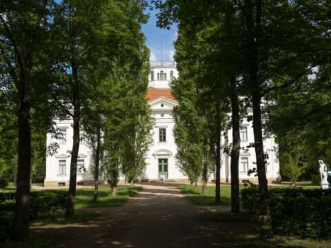 Die Anhaltische Gemäldegalerie Dessau ein stiller, fast intimer Ort. Untergebracht im Schloss Georgium, einem klassizistischen Bau aus dem späten 18. Jahrhundert, verschmilzt hier Architektur, Parklandschaft und Sammlung auf harmonische Weise.