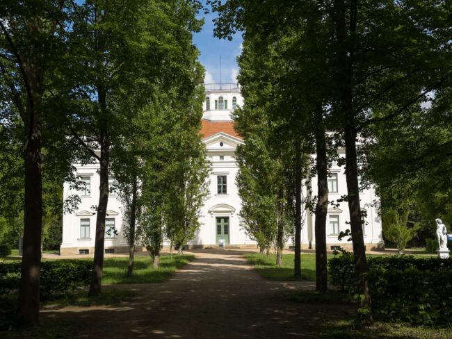 Die Anhaltische Gemäldegalerie Dessau ein stiller, fast intimer Ort. Untergebracht im Schloss Georgium, einem klassizistischen Bau aus dem späten 18. Jahrhundert, verschmilzt hier Architektur, Parklandschaft und Sammlung auf harmonische Weise.