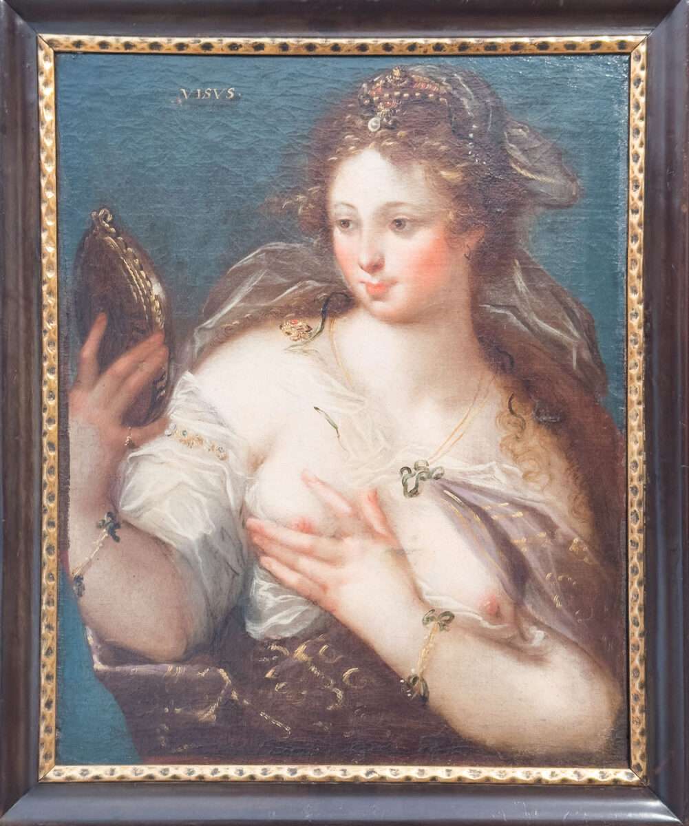 Das Gemälde von Hans Christoph Schürer mit dem Titel Visus ist eine Allegorie auf das Sehen, aber zugleich auch auf das gesehen werden. Es zeigt eine leicht bekleidete Frau, die sich im Spiegel betrachtet und sich selbst an der Brust berührt.
