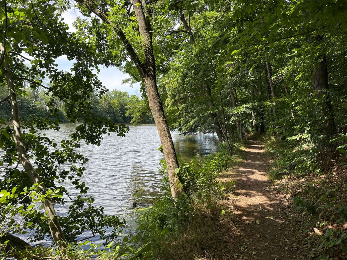 Der einsame Wanderweg im malerischen Muldental führt zum Teil direkt am Fluss entlang. Meist ist man allein unterwegs.