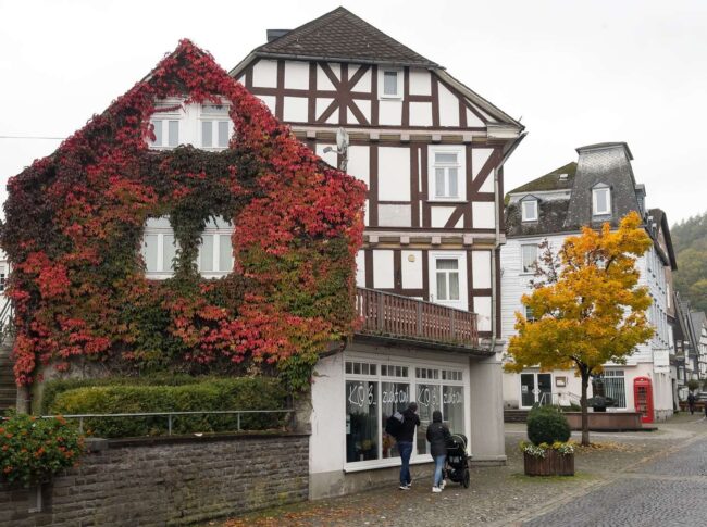 Die herbstliche Königstraße Bad Laasphe ist geprägt von bunten Bäumen.