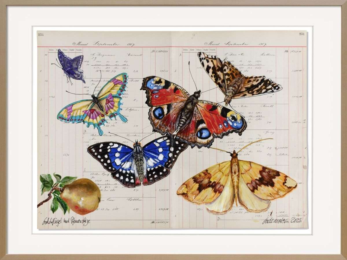 Im Werk von Thomas Gatzemeier Goldflügel und Pfauenauge ist der Schmetterling in der Kunst das Hauptmotiv. Es geht dem Künstler um die Schönheit, aber auch um die gefärdete Natur.