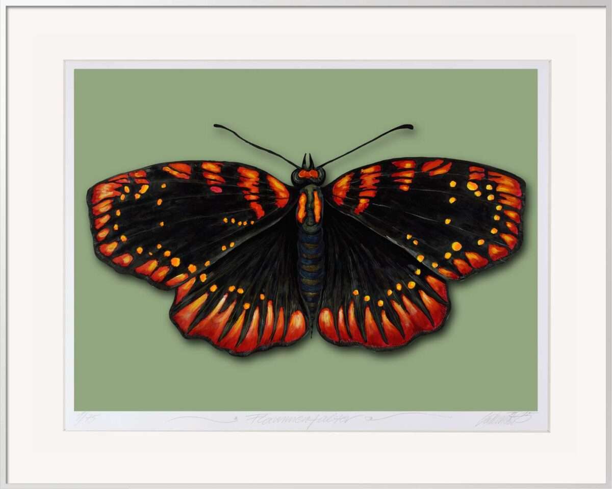 Thomas-Gatzemeier-Flammenfalter-Grafik-Schmetterling-6 Symmetrisch dargestellter Schmetterling mit schwarzer und orangefarbener Flügelzeichnung in einer zeitgenössischen Grafik von Thomas Gatzemeier aus der serie Falter-Porträt