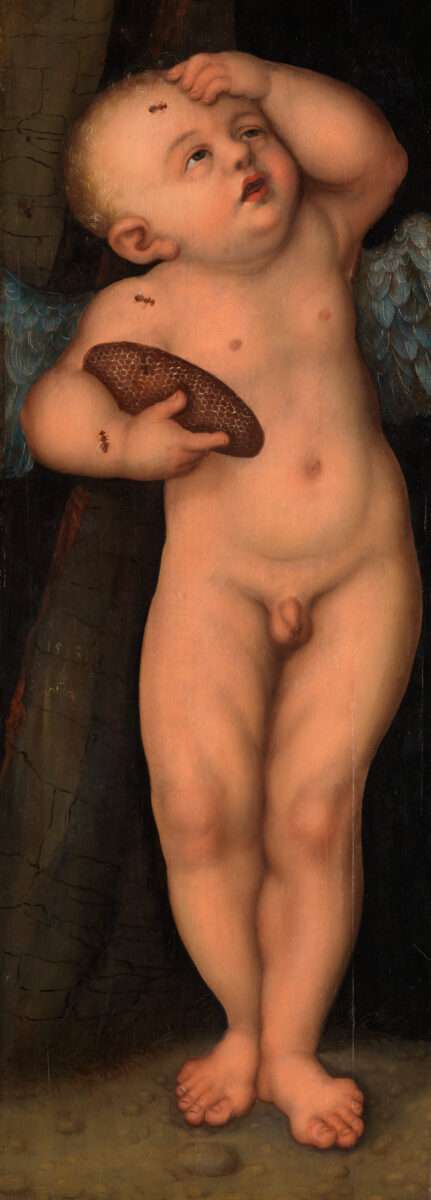 Nach Lucas Cranach Amor als Honigdieb ca. 1531 Öl auf Holz 76,5 x 27,6 cm Staatliche Kunsthalle Karlsruhe