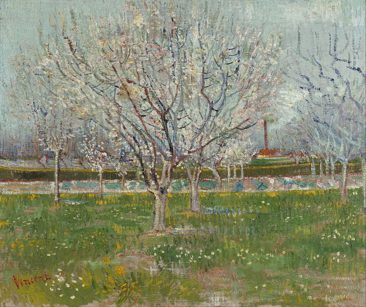 Vincent van Gogh blühender Obstgarten mit weißen Blüten und jungen Bäumen in einer Frühlingslandschaft bei Arles.