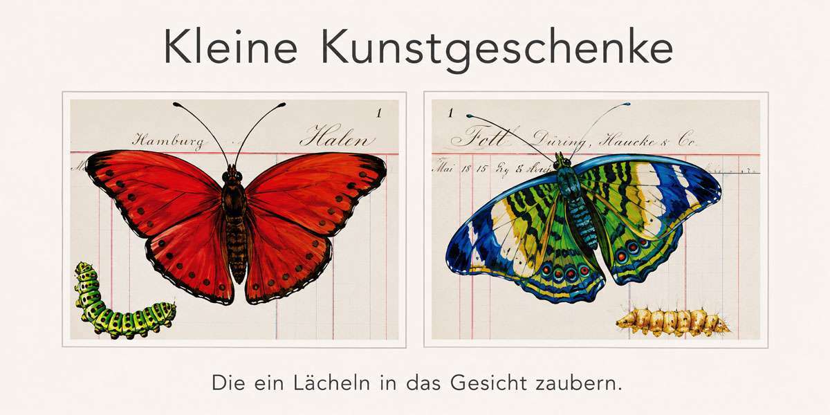 Kleine-Kunstgeschenke Schmetterling-2