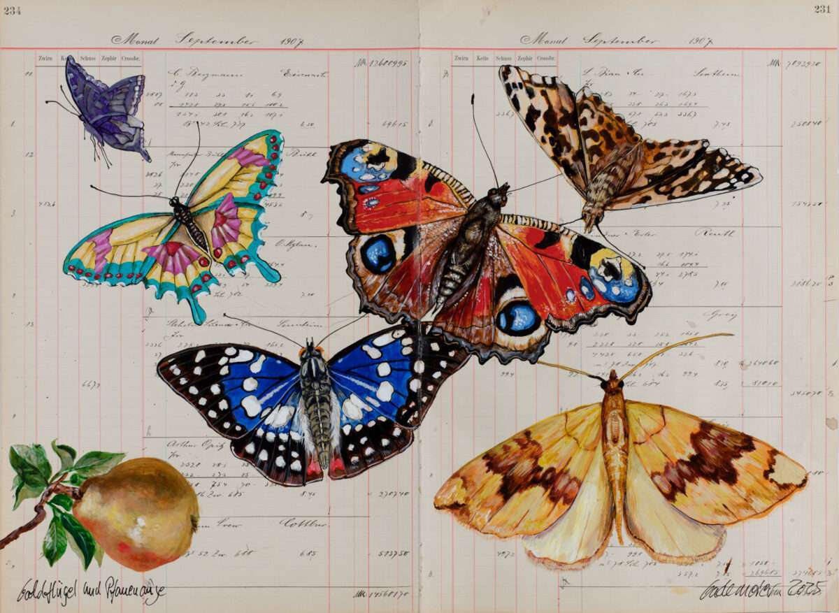 Sechs farbige Schmetterlinge und eine Frucht über handschriftlichen Buchungen auf einem alten Kontoblatt in „Goldflügel und Pfauenauge“.