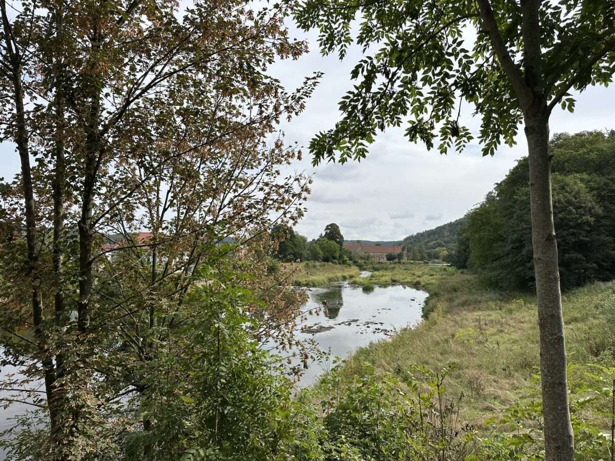 Flache Mulde mit sichtbaren Steinen und bewachsenen Uferflächen zwischen Bäumen bei Klosterbuch