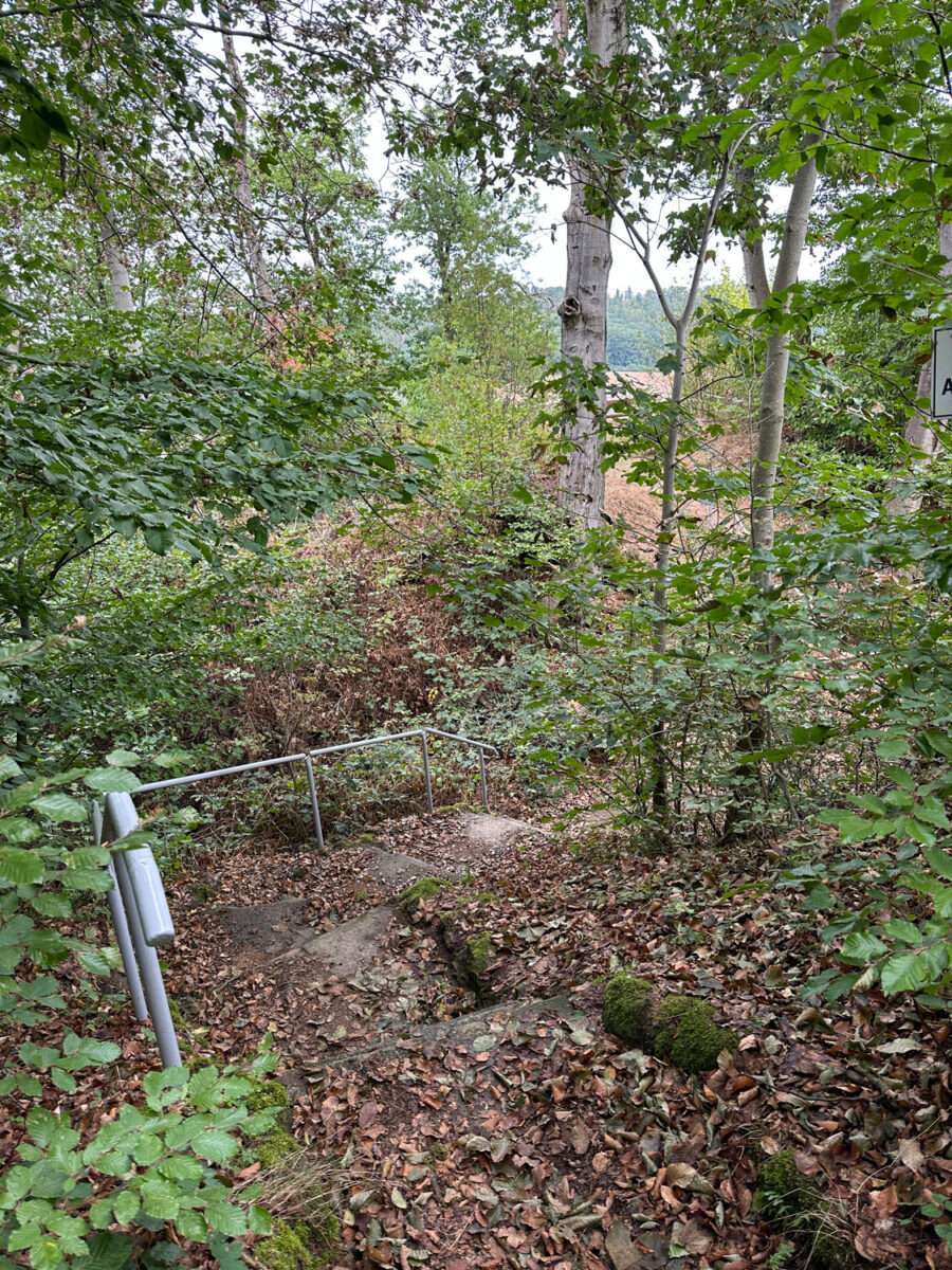 Schmaler, mit Laub bedeckter Stieg mit Geländer hinab zum Aussichtspunkt der Maylust