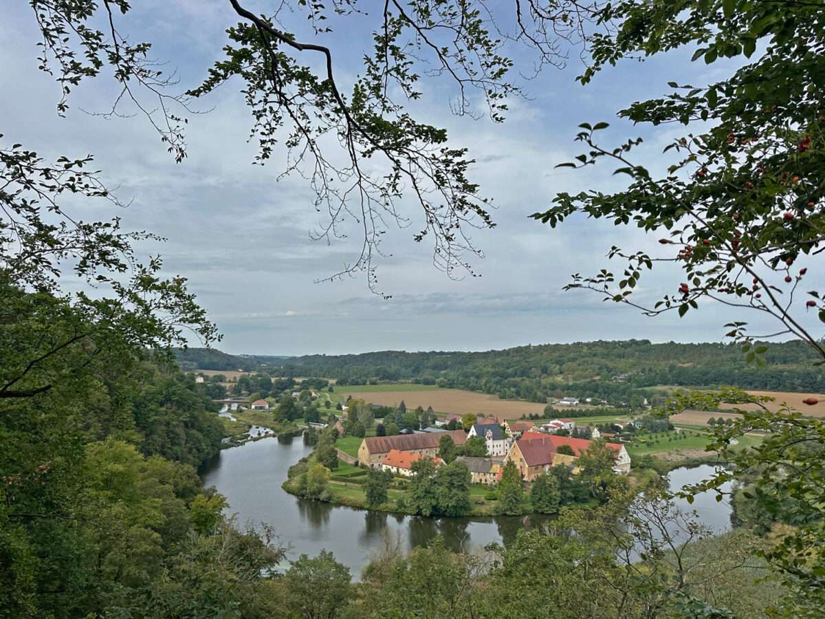 Blick durch Bäume auf das von einer weiten Muldenschleife umgebene Kloster Buch