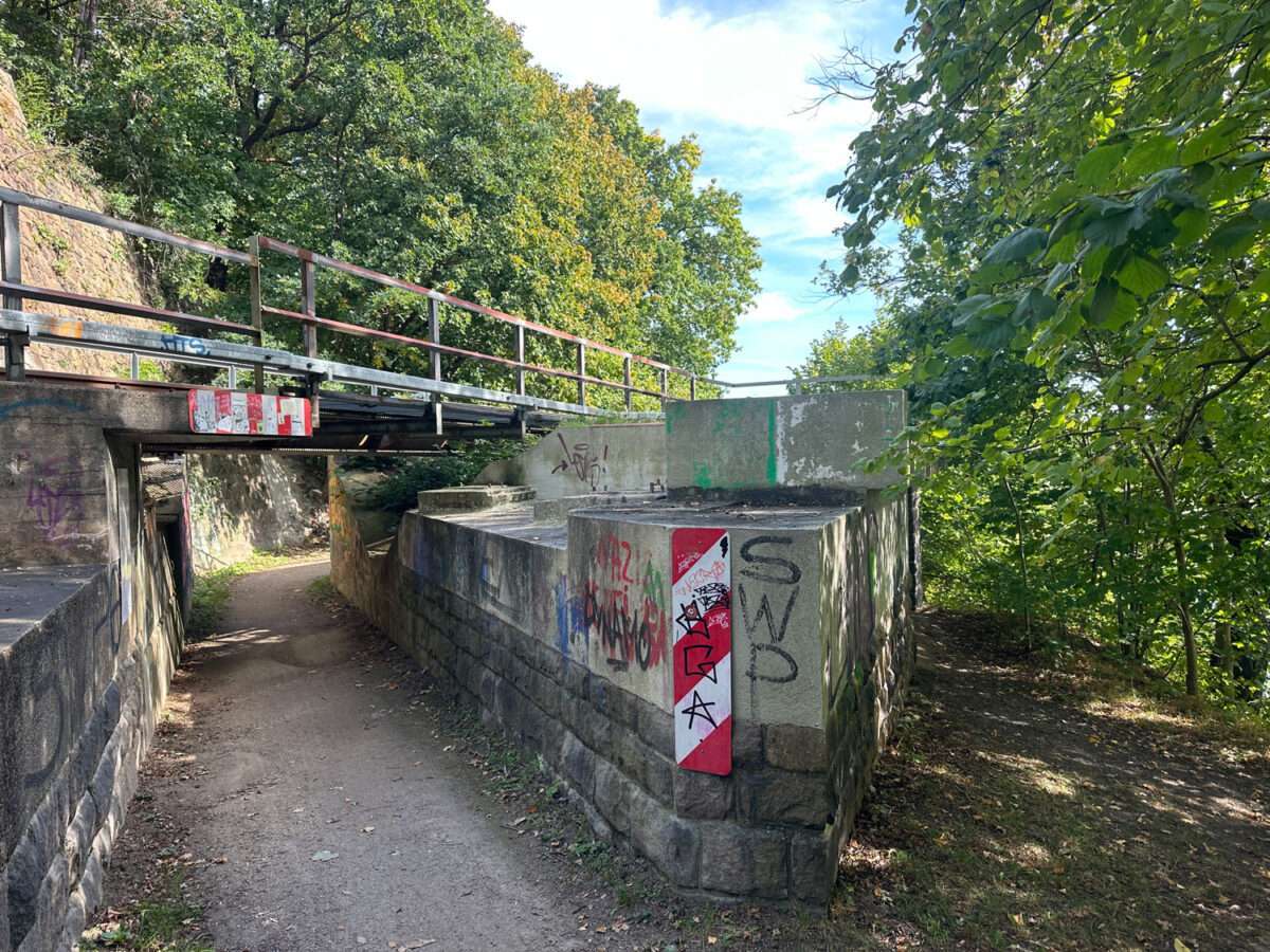 Schmaler Weg unter einer niedrigen Eisenbahnbrücke mit massiven Widerlagern, Graffiti und dichtem Bewuchs.
